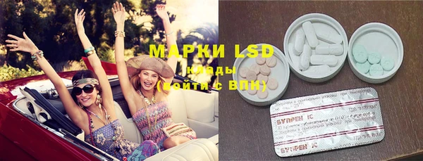 spice Осинники