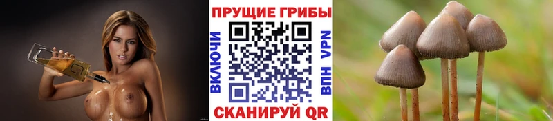 Галлюциногенные грибы мицелий  Южа 